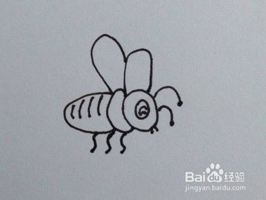 蜜蜂画法教程，简笔画蜜蜂