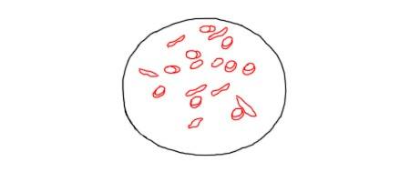 怎么画披萨饼的简笔画 百度经验