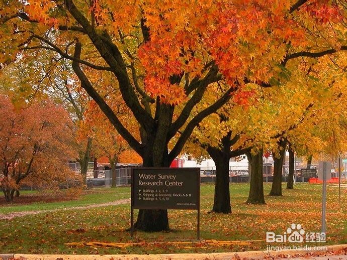 2014最受中国学生欢迎的10大美国院校