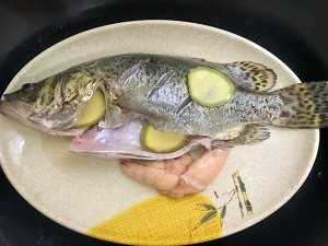 鳜鱼鱼的营养价值及功效