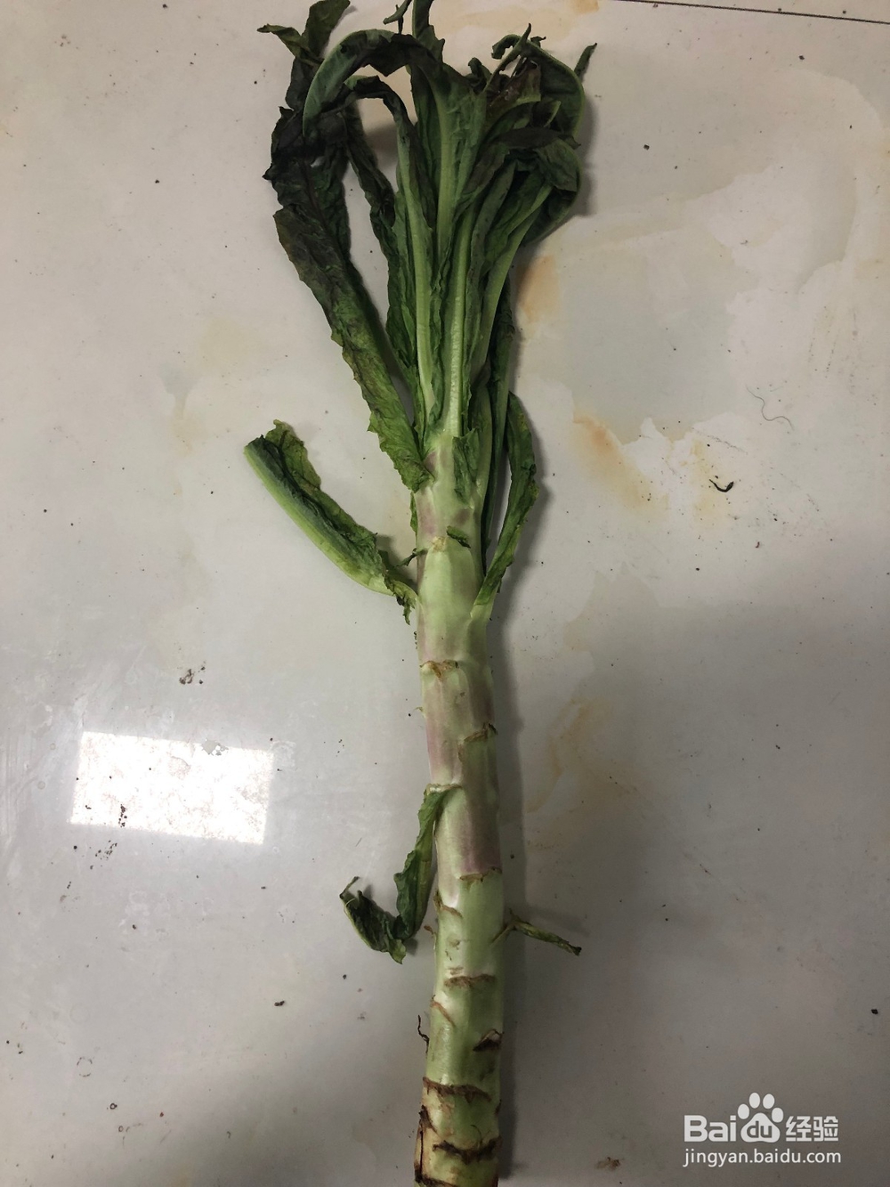 莴笋木耳肉片如何炒?