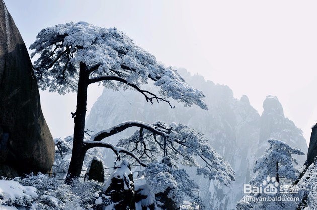 手机相机的“HDR”模式适用哪些场景？