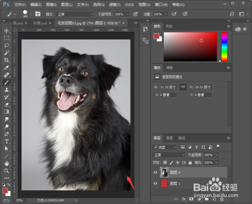 PS怎么扣动物毛发