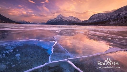 居民楼养鸽子怎么投诉