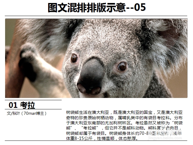 怎样做好PPT：[8]图文混排排版案列