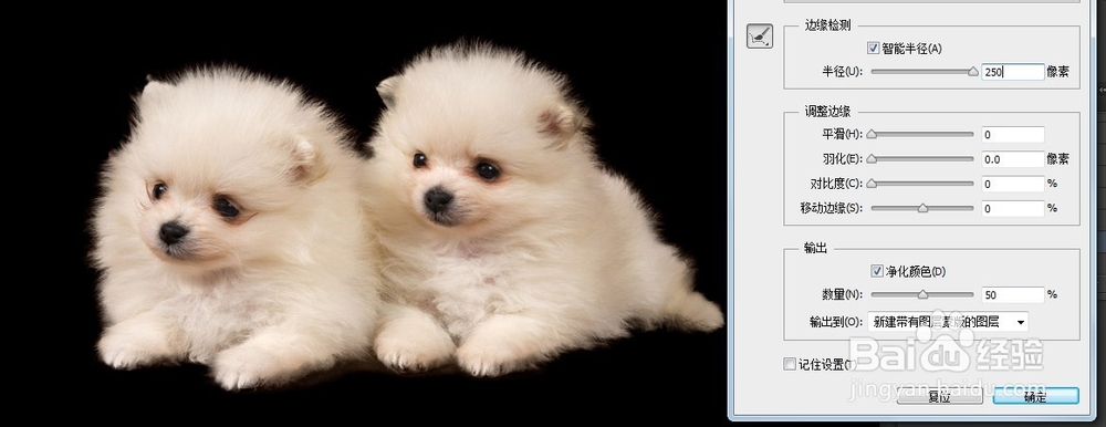 用调整边缘功能抠图：[3]抠图技巧