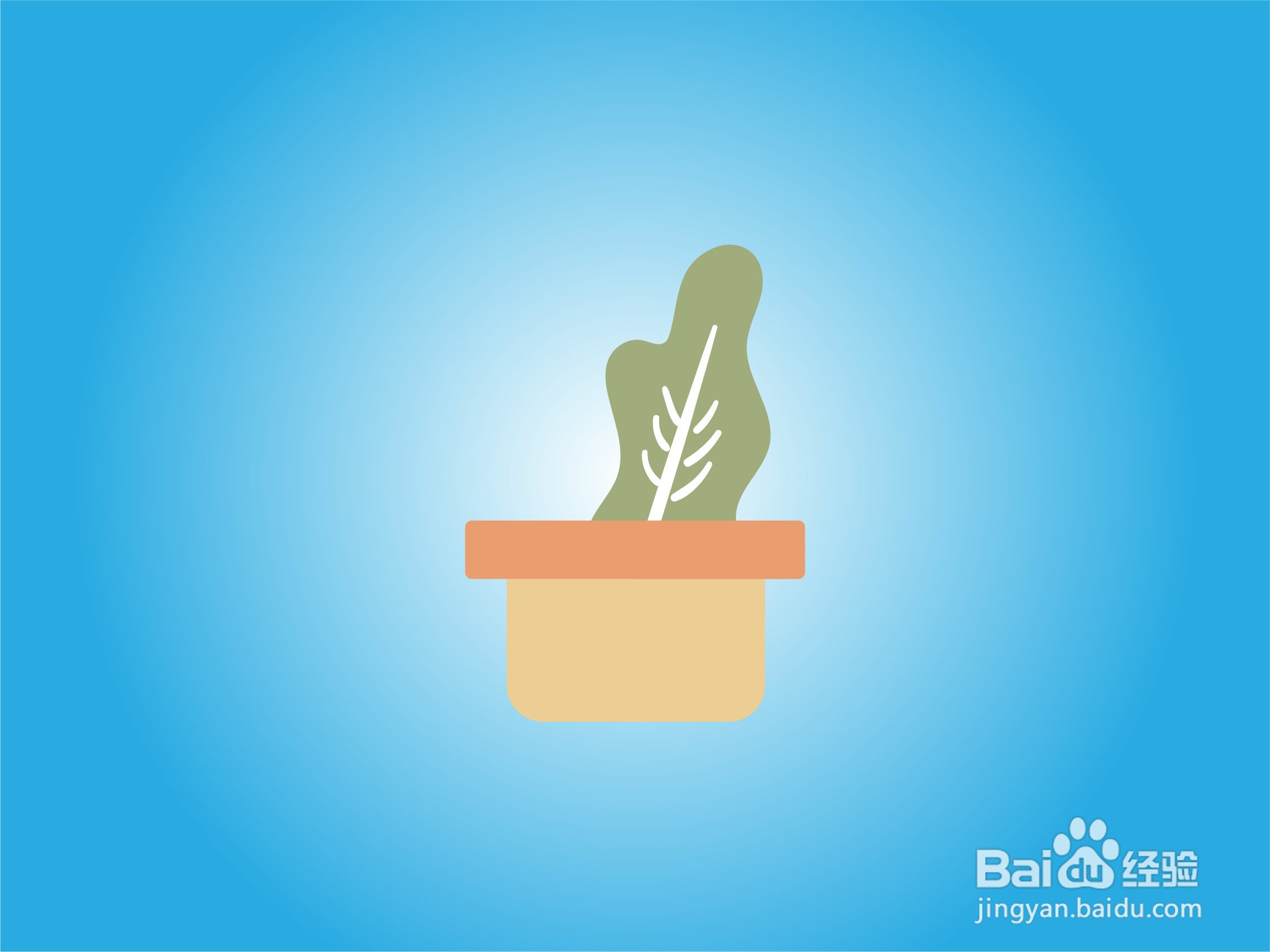 如何画好卡通植物盆栽?