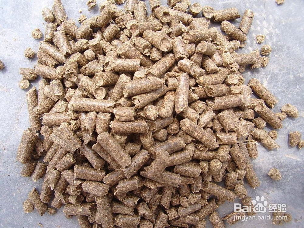 如何自己制作虾类饲料