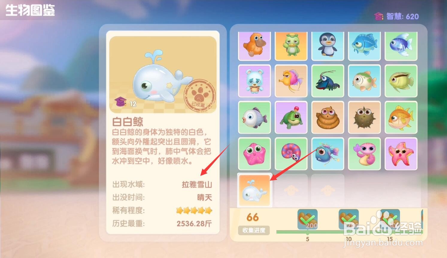 摩尔庄园手游白白鲸在哪钓