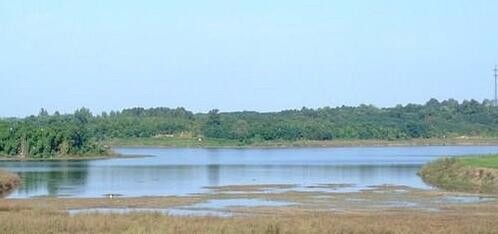 龙泉驿有什么好玩的地方