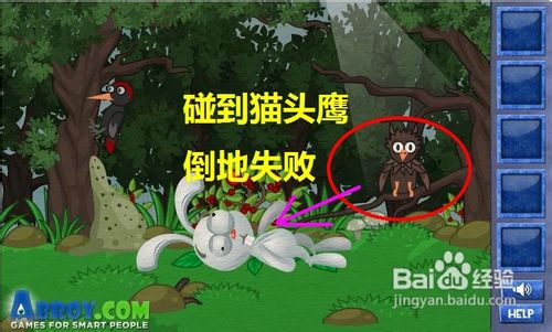 在线小游戏:聪明的兔子-猫头鹰关通关攻略
