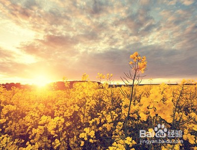 如何挑选适合女生戴的手表？