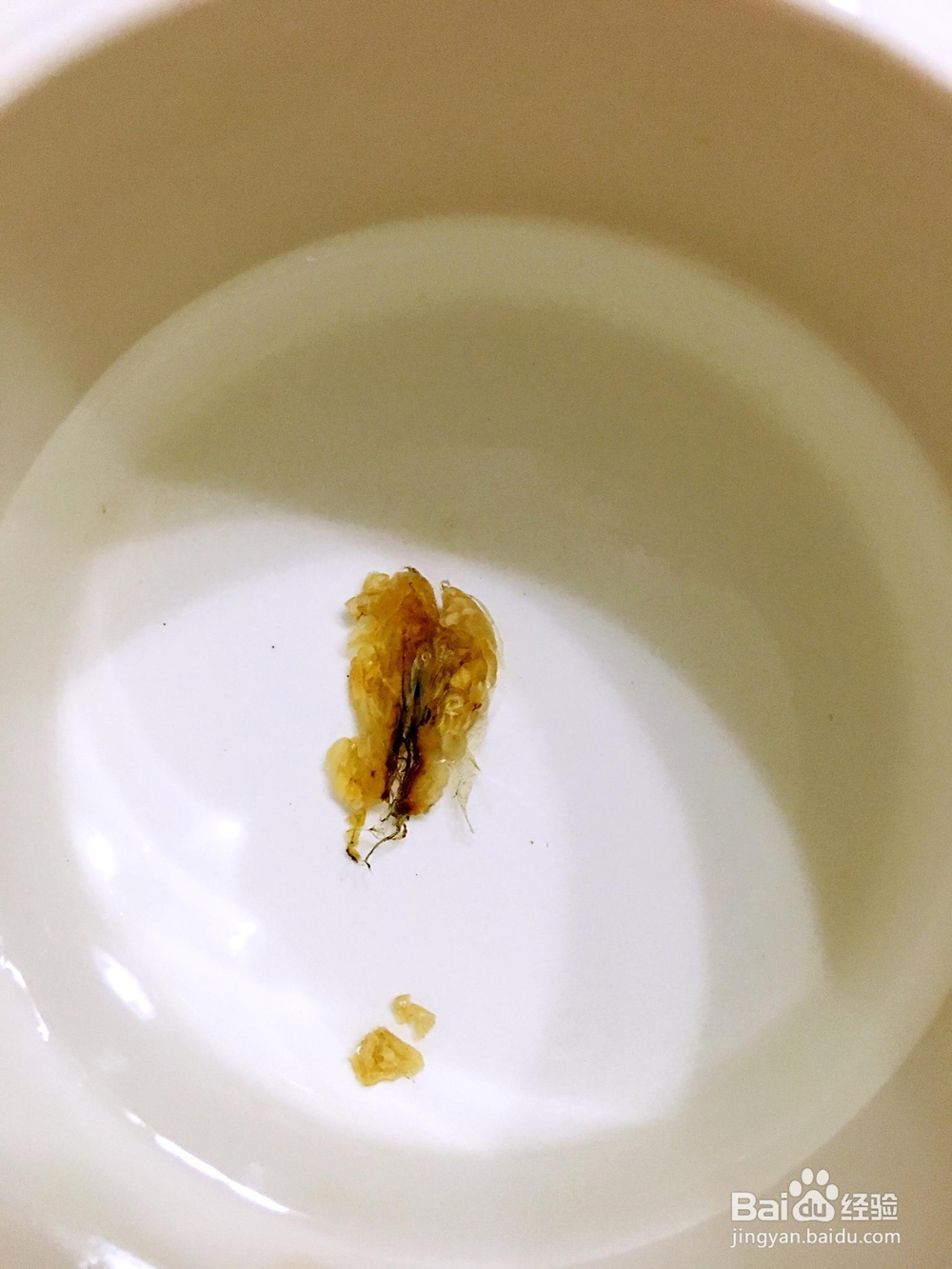 美食教学之黑枸杞雪蛤汤!