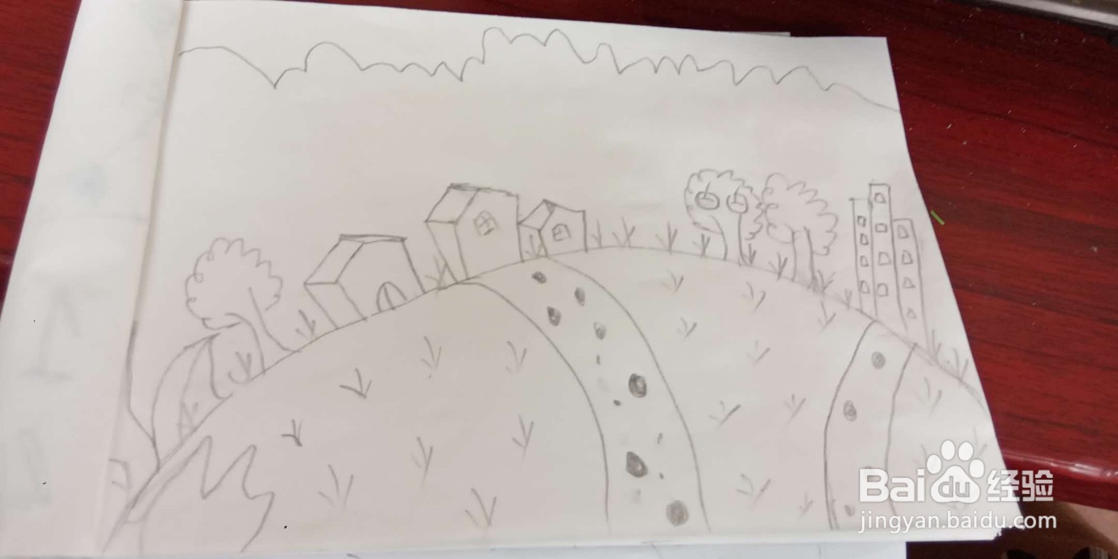 我与森林共呼吸手抄报