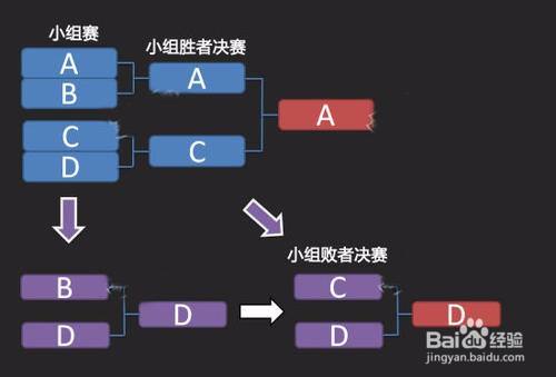 分组循环(体育比赛方法)名词解释