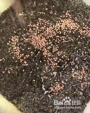 如何自制香脆芝麻夹心海苔？