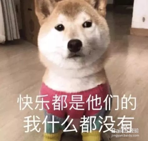 狗狗蹦迪表情包