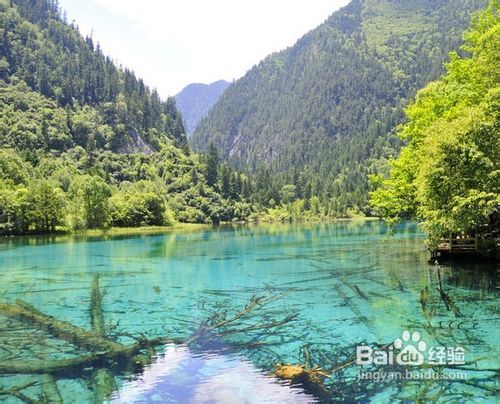 成都到九寨沟_成都到九寨沟旅游线路