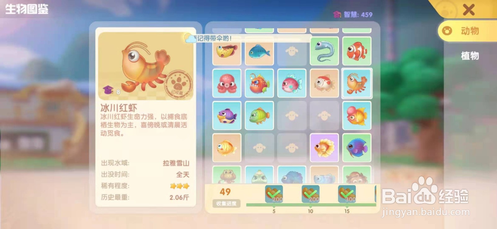 摩尔庄园手游冰川红虾怎么获取