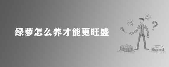绿萝怎么养才能更旺盛