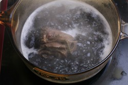 黑豆海带牛尾汤