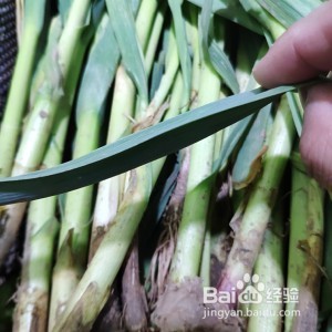 下饭的回锅肉怎么做