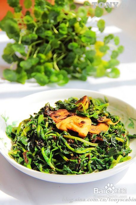 芹菜入味又养生吃法的5个要点