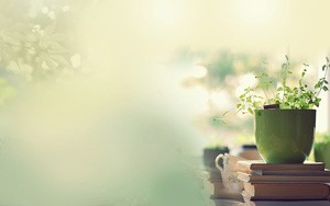 保险理赔需要哪些流程和原则？