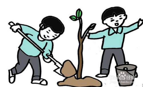 两个小朋友植树的简笔画