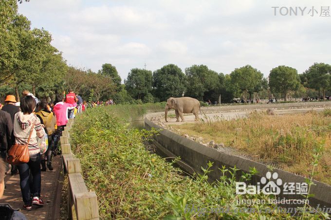 新手做土司必须要了解的5个要点---旅游外出给我们补充体力的芝麻黄油土司