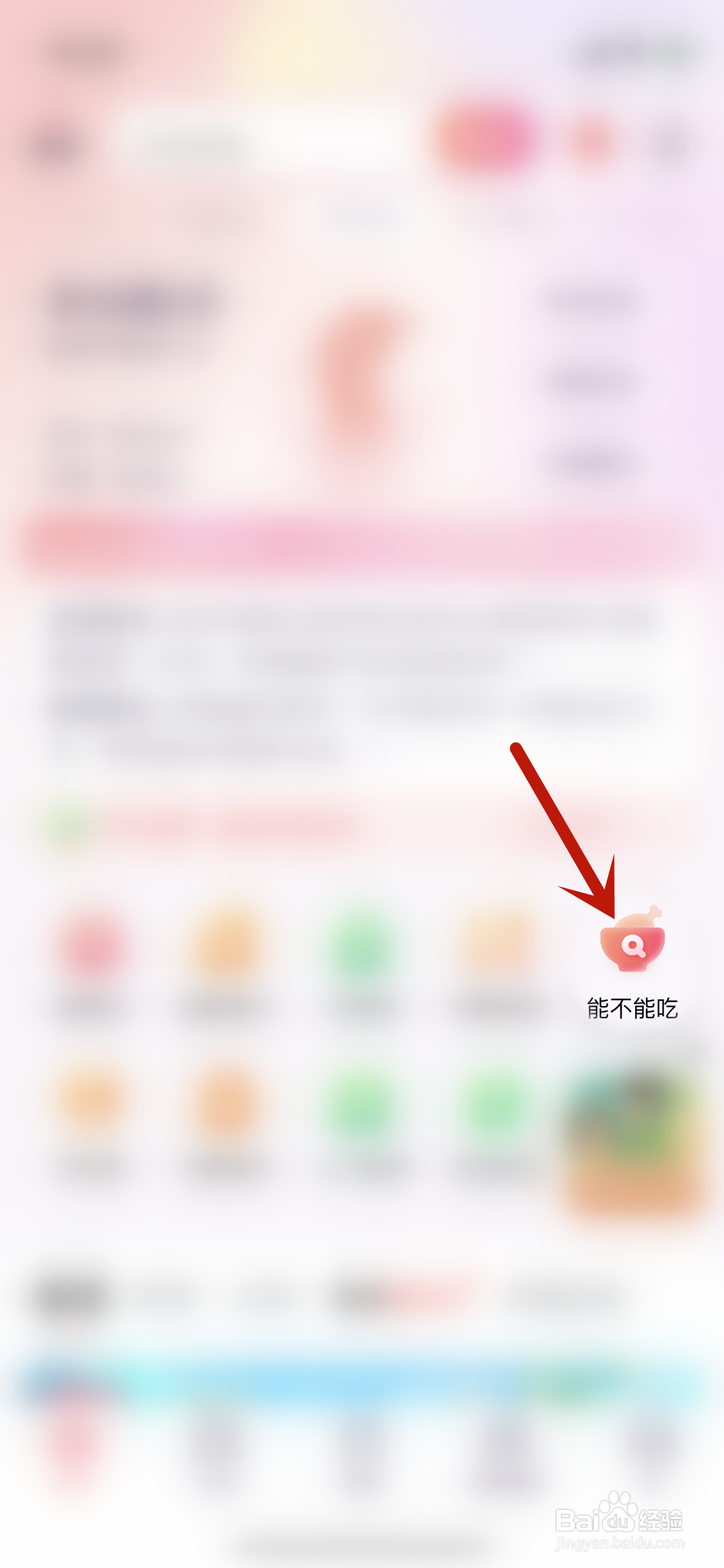 如何判断孕妇能不能吃某种食物
