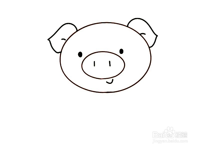 画出小猪的头部及面部表情,大鼻子