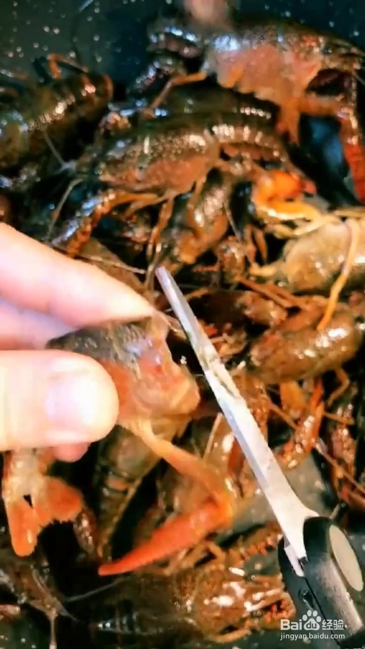 如何制作蒜蓉小龙虾