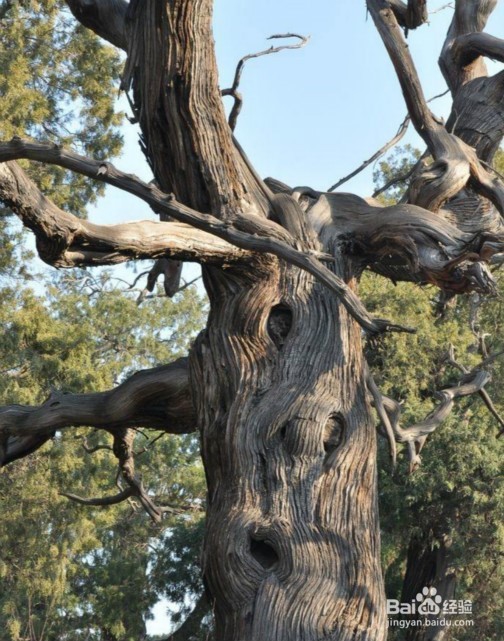 怎么开展学习弟子规 总体架构