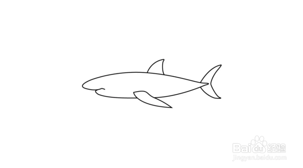 鲸鱼简笔画教程