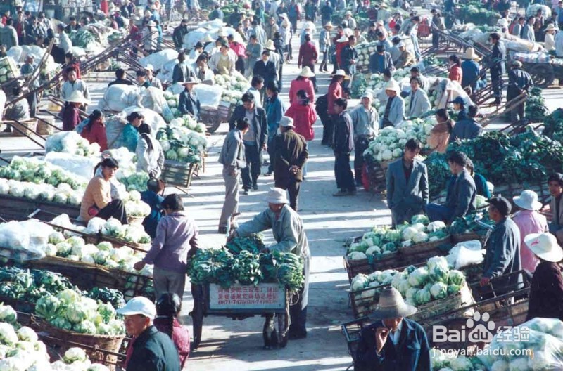 茄子歌快休闲餐饮拟定菜单要考虑哪些因素