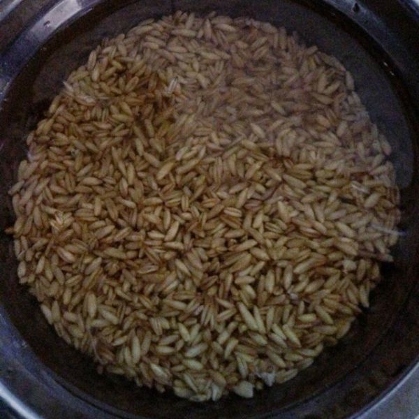 淮山燕麦桂圆粥
