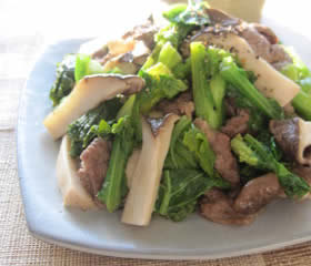 怎么做油菜花蘑菇炒牛肉