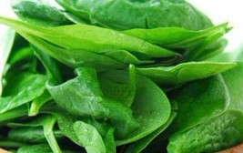 中医盘点11种最常见的一定要吃的抗癌食物