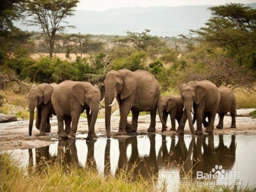 逃离喧嚣的绿色生活 纵享全球生态旅馆