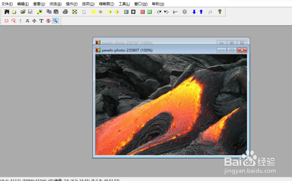 polyview如何启用插入式缩放功能？