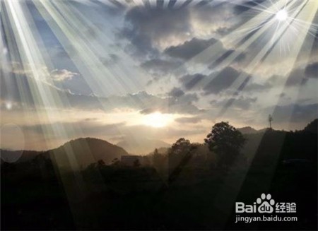 云南文山三七粉价格,点击查看近期行情