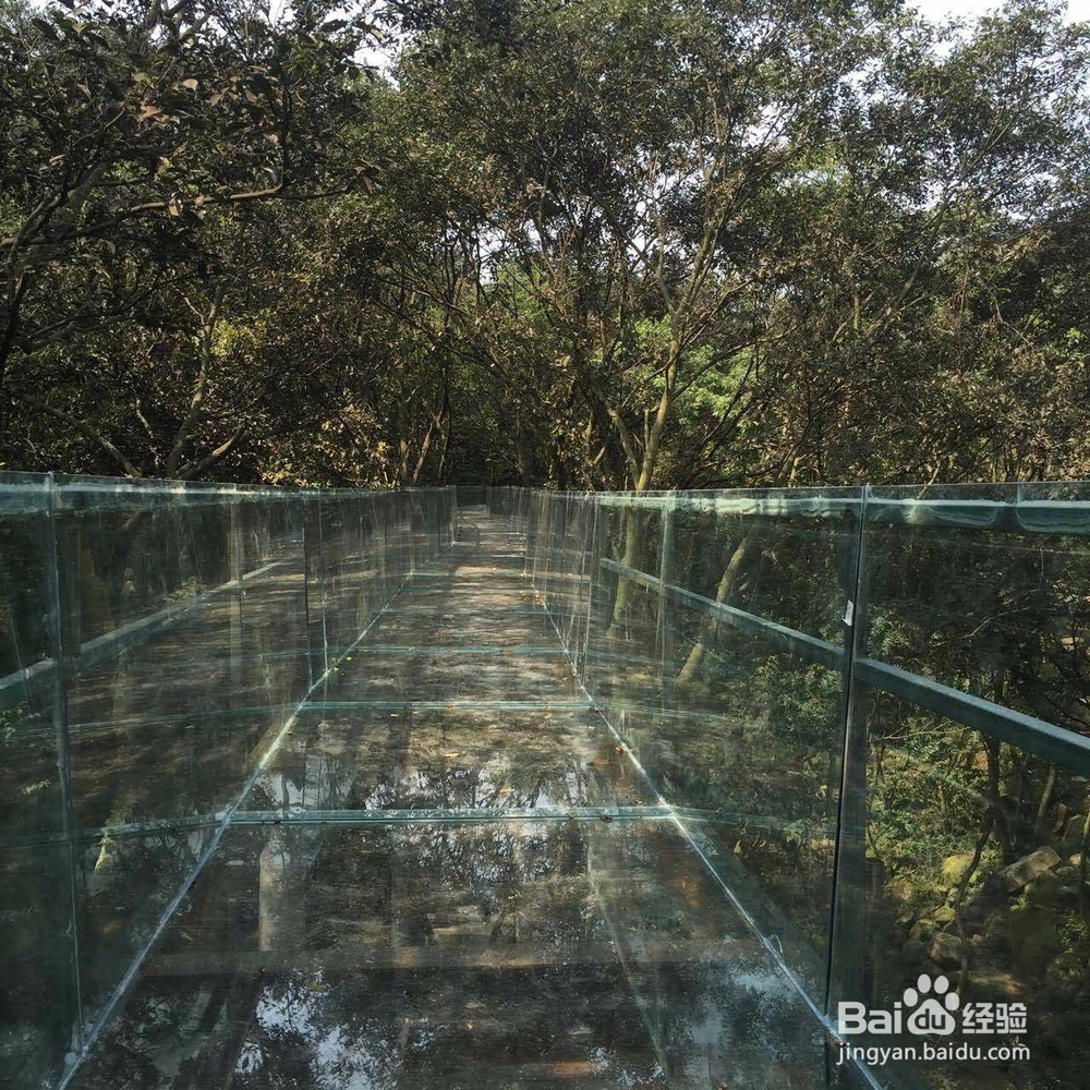 扬州周边哪里有玩漂流,滑草,高空滑索的