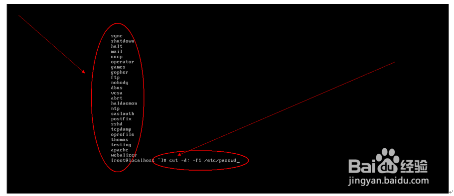 Linux之head、tail、grep、cut等命令详解
