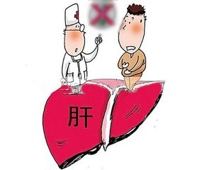 冬季吃滋补羊肉应该注意什么