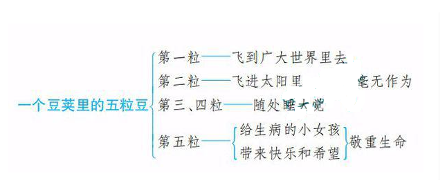 一个豆荚里的五粒豆思维导图怎么画
