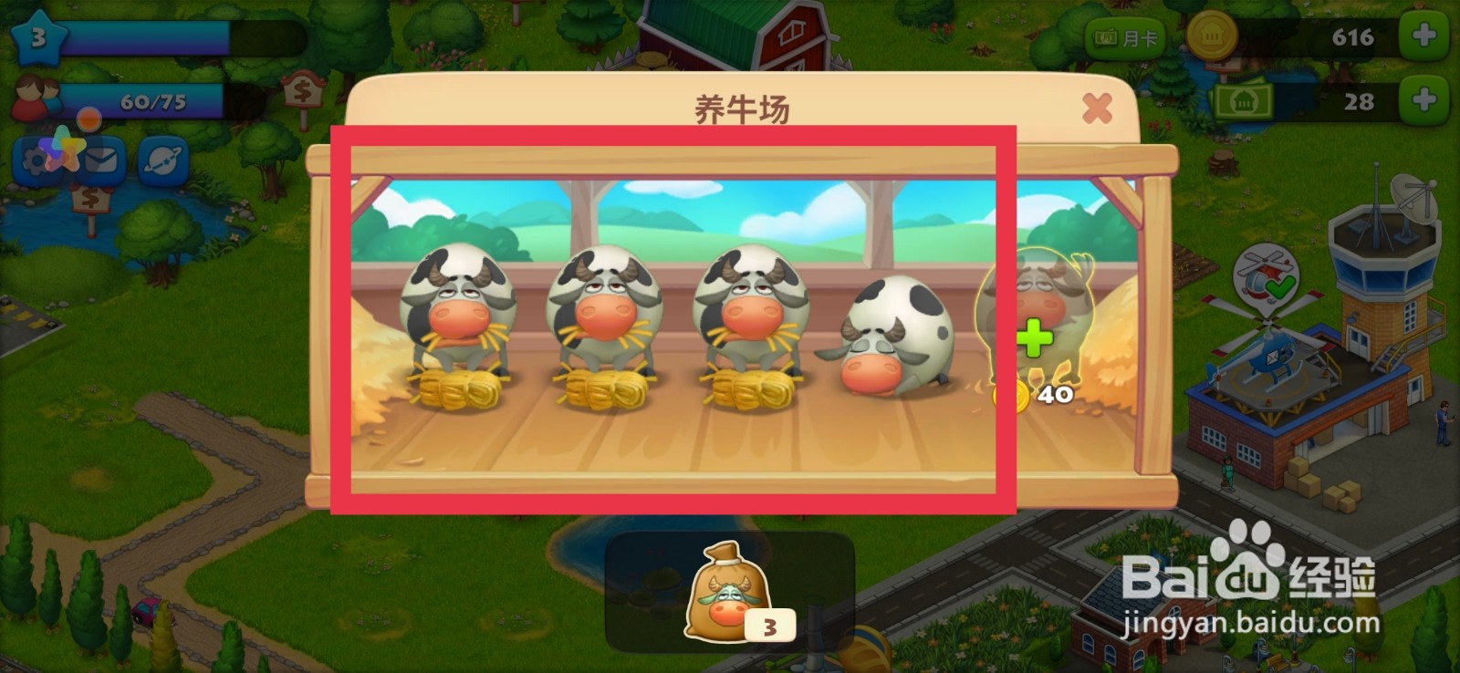 梦想城镇如何购买 牛