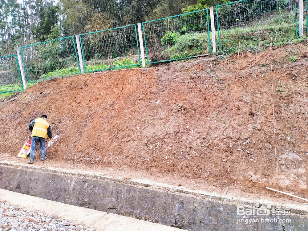 地基压实施工的要求有哪些内容？