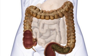 如何把拉屎说得高大上