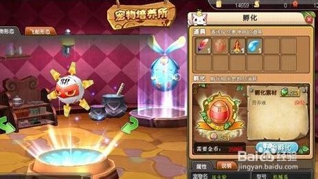 《天宠岛》宠物系统全剖析 萌萌战斗宠